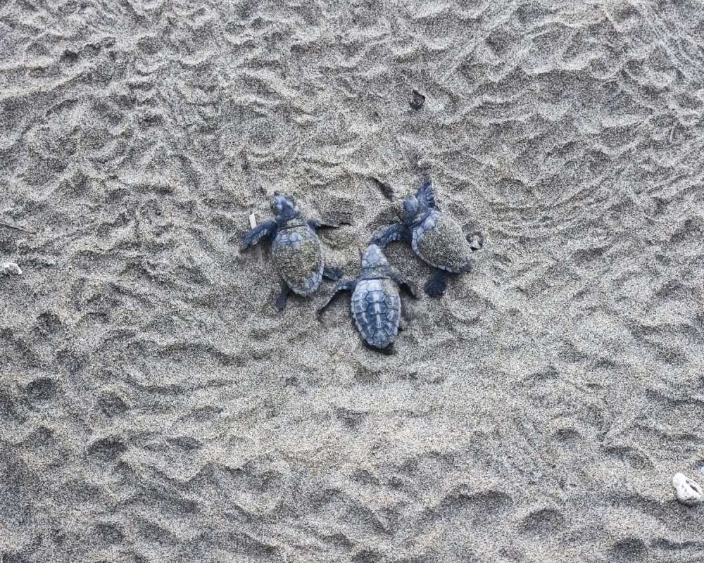 WhatsApp-Image-2023-08-28-at-12.48.02-(2)